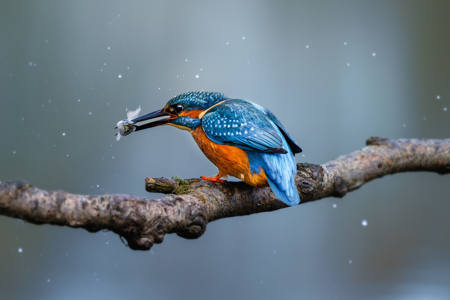 On A Cold And Frosty Morning