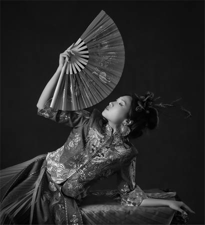 The Fan