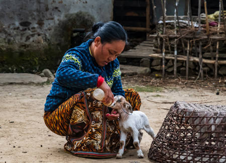 Feeding A Kid In Nepal
