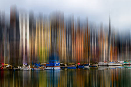 Motion Spectrum