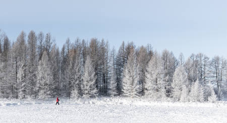 Brisk Morning Walk In The Snow