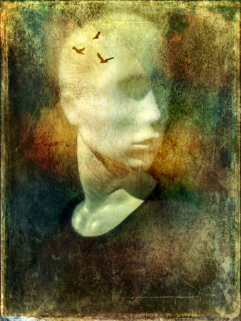 Imagination