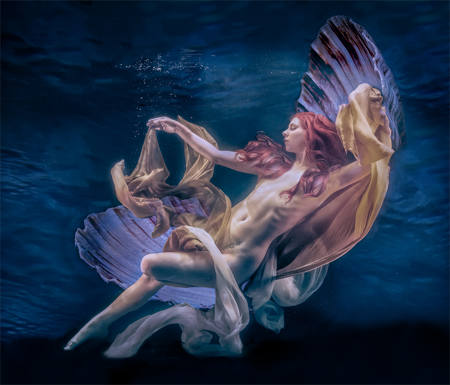 Sea Siren