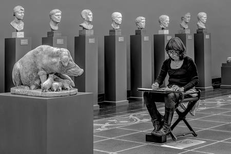 The Illustrator