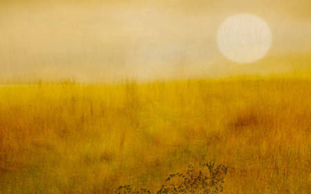 Up On The Escarpment