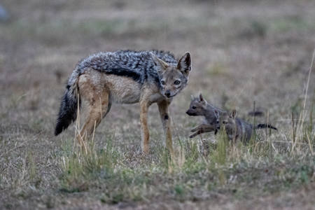 Sweet Time Together16