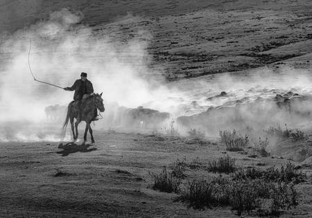 Shepherd And His Flock