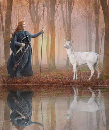 Guardians Of The Forest