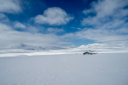 THE NORWEGIAN CABIN DREAM VIII