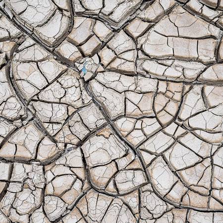 A Jewel In The Cracks