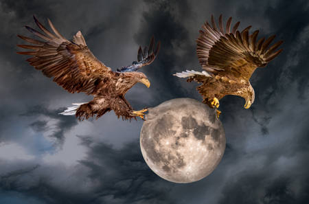 Who Owns The Moon