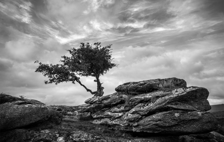 Heckwood Tor