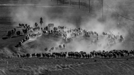 Migration 103