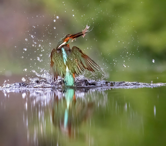 Colors Of Nature 3