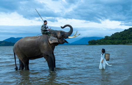 Ask The Elephant