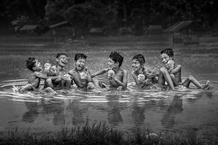 Paddy Field Party