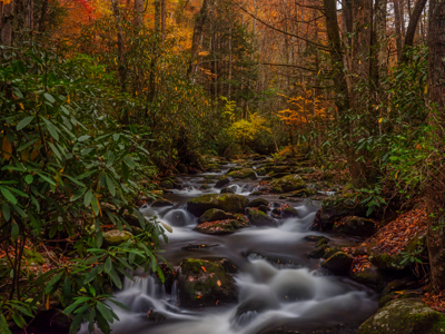 Mountain Stream