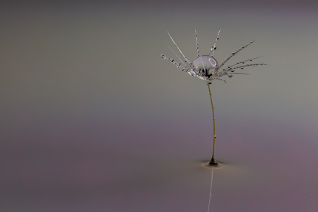 The Fragile One