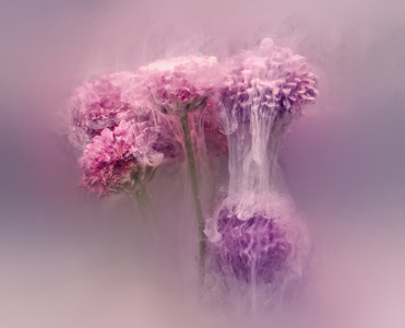 Submerged Posy