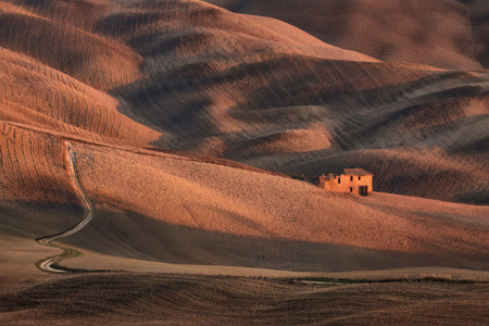 Tuscan Colored Fields