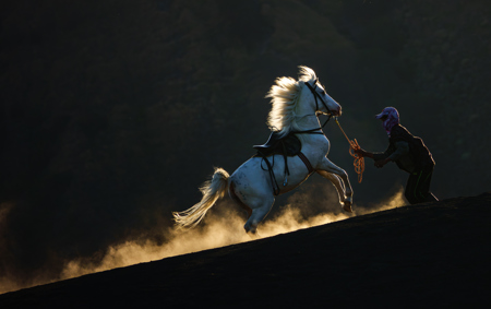 Mane Of Light