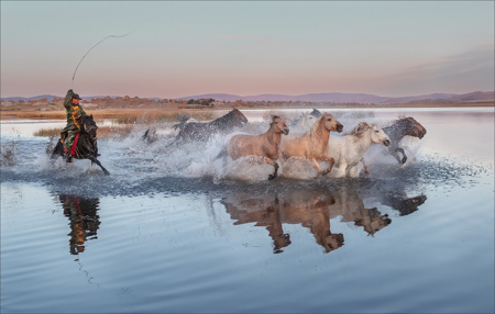 Horses Running 88
