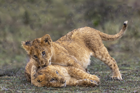 Playing In The Rain
