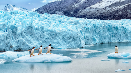 Penguins Pals