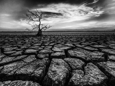 Dry Land