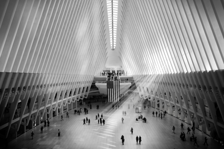 Calatrava Light