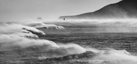 View on Lightbox Where The Wind Blows