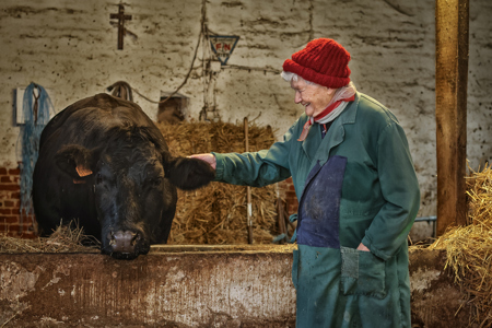 Friendship At The Farm