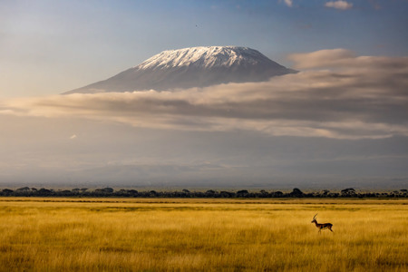 Amboseli Landscape