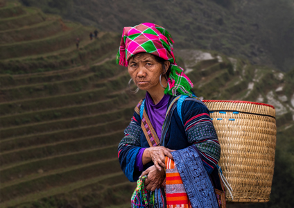 Field Worker