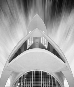 Warp Speed
