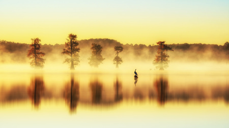 Golden Lake2