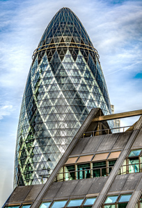 The Gerkin