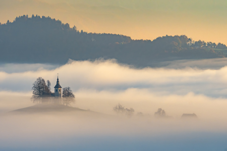 Secret In The Mist