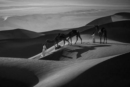 View on Lightbox Badia Desert 4