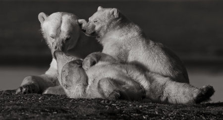 Tender Moments 3