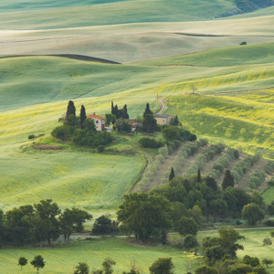 Homeland