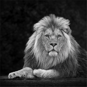 Noble