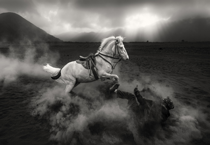 View on Lightbox Angry Horse
