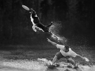 Playing Disc With Dog