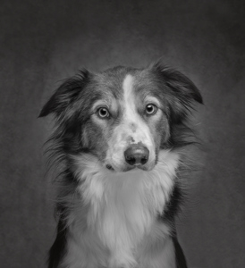 Portrait Of A Friend