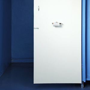 Toilet Door