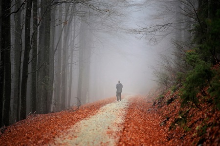 Autumn