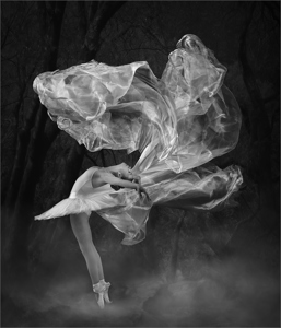 Spirit Of The Dance