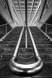 Elegant Ascent