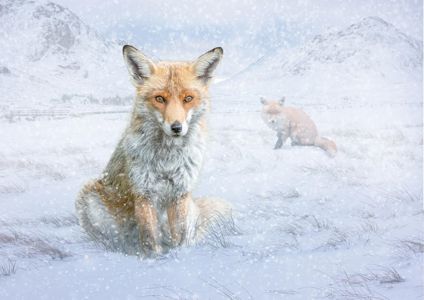 Winter